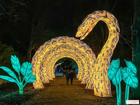 Le Jardin des Plantes:  A Jungle Oasis Hiding in Plain Sight!