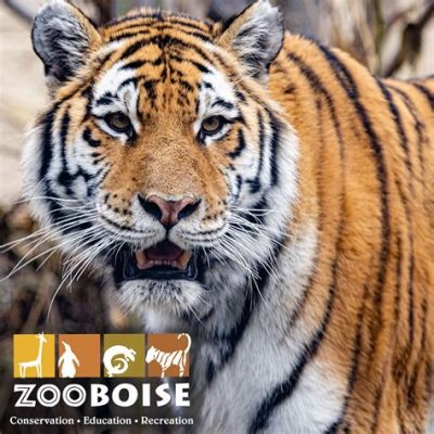  Zoo Boise! สวนสัตว์ที่เต็มไปด้วยความสนุกและการเรียนรู้ในเมือง Boise